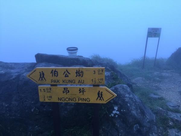 我的戏精三国杀