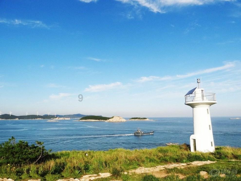 翻转吧，苹果虫